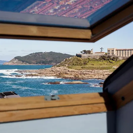 Zoila بايونا