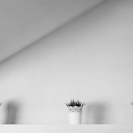 Apart-hotel Zoila Baiona