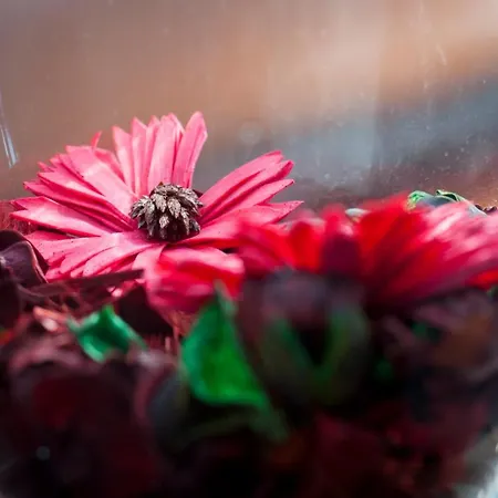 Apart-hotel Zoila 4*