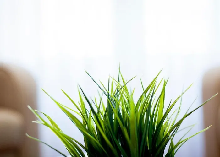 Zoila Ξενοδοχείο με διαμερίσματα