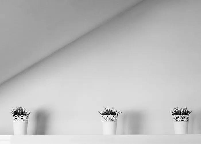 Ξενοδοχείο με διαμερίσματα Zoila Baiona