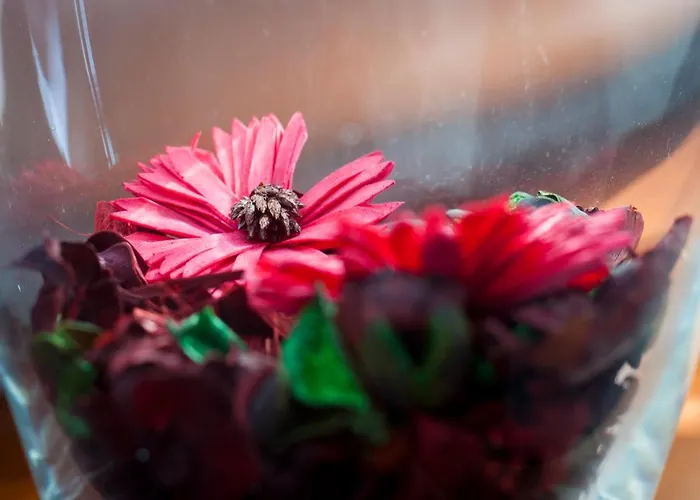 Ξενοδοχείο με διαμερίσματα Zoila 4*